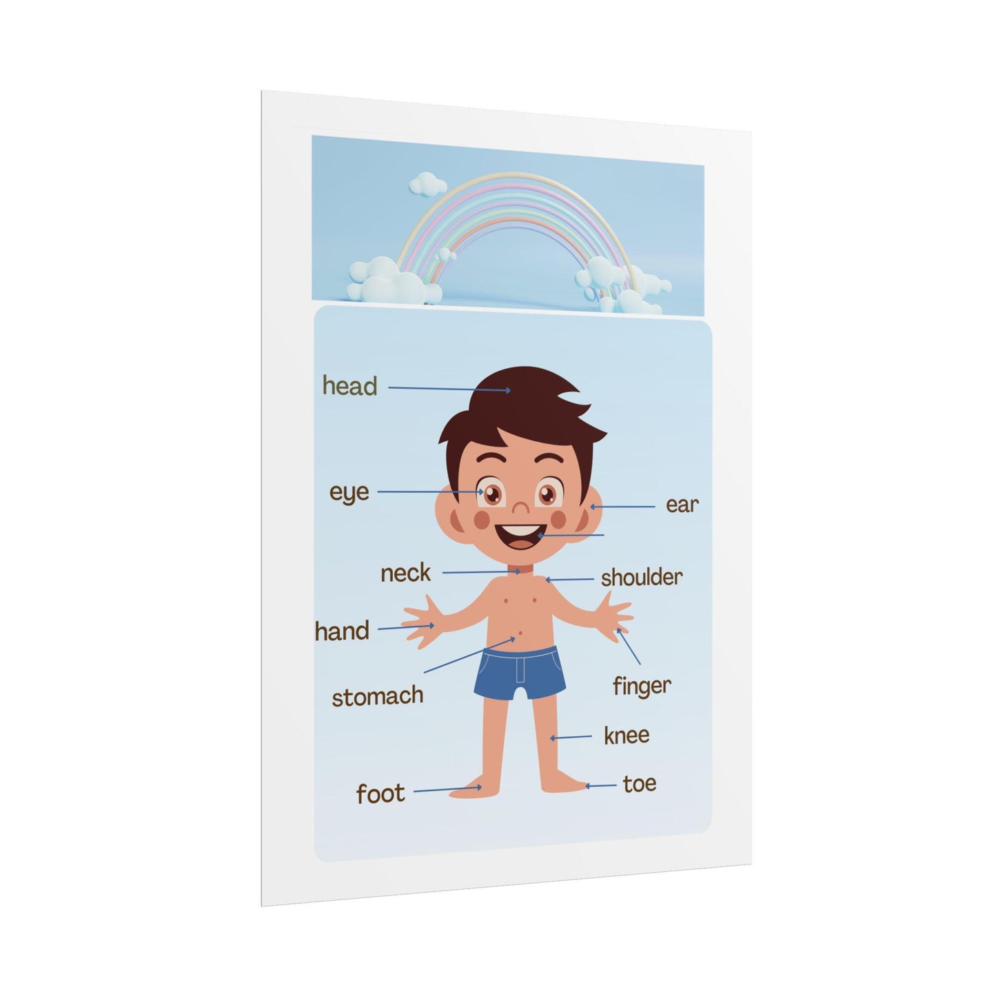 Labeled Body Parts Chart Rolled Posters | Kids Anatomy Poster | Bright, Classroom-Ready Rolled Posters