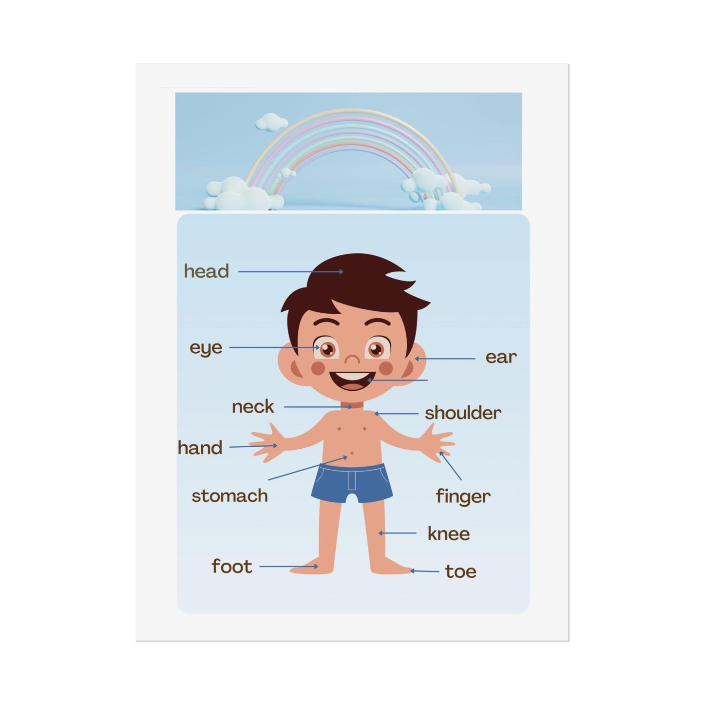 Labeled Body Parts Chart Rolled Posters | Kids Anatomy Poster | Bright, Classroom-Ready Rolled Posters