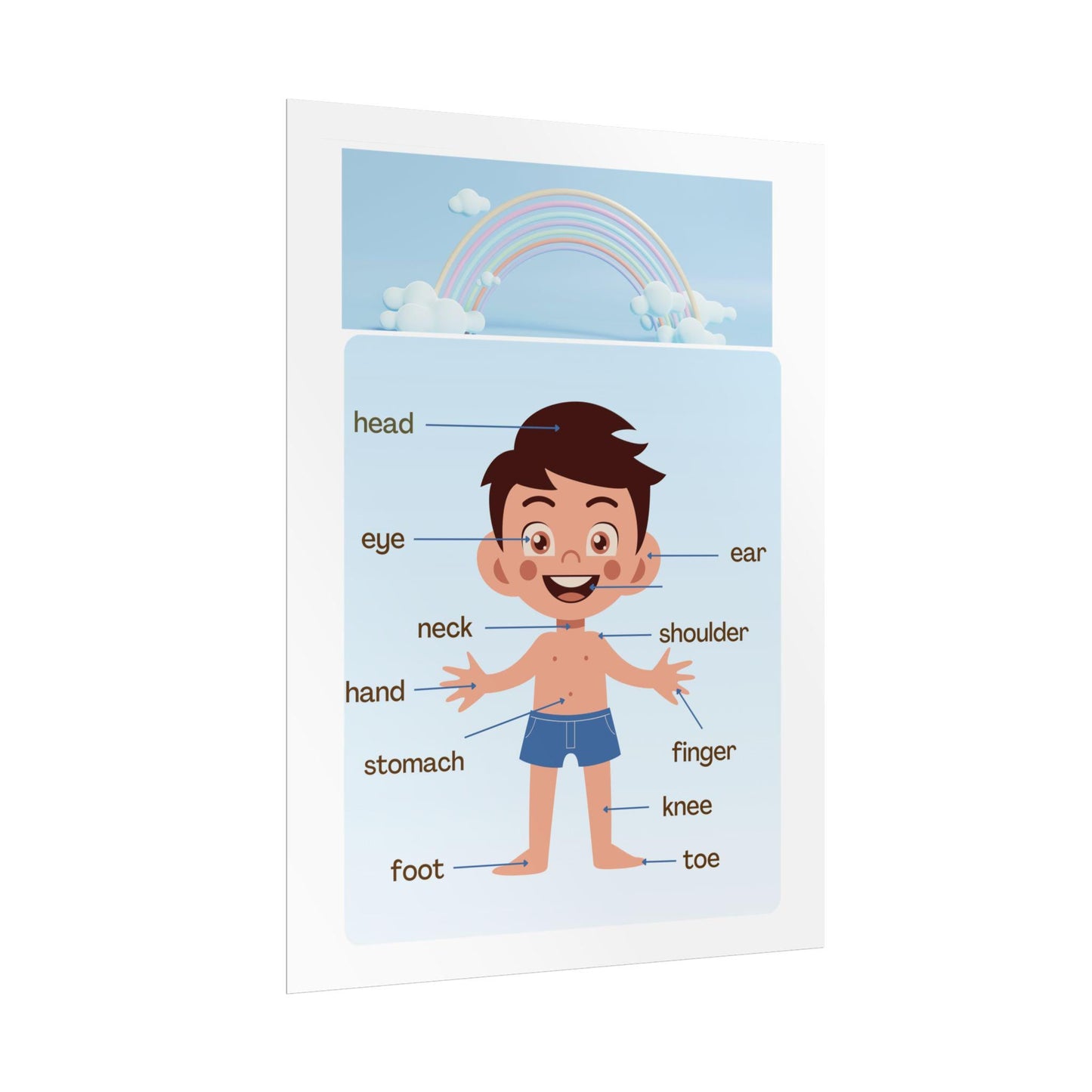 Labeled Body Parts Chart Rolled Posters | Kids Anatomy Poster | Bright, Classroom-Ready Rolled Posters