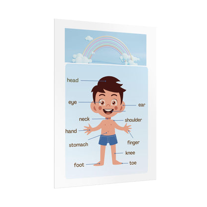 Labeled Body Parts Chart Rolled Posters | Kids Anatomy Poster | Bright, Classroom-Ready Rolled Posters