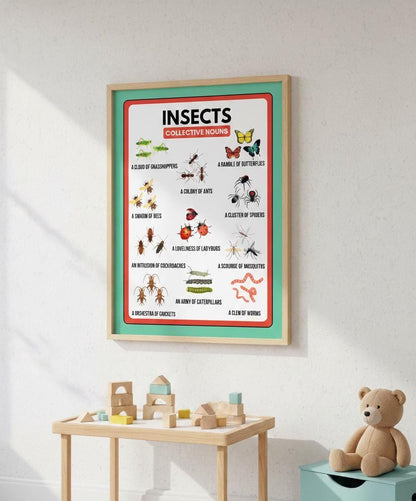 Insects Collective Nouns Educational Poster, Homeschool Classroom Decor (Digital Download)