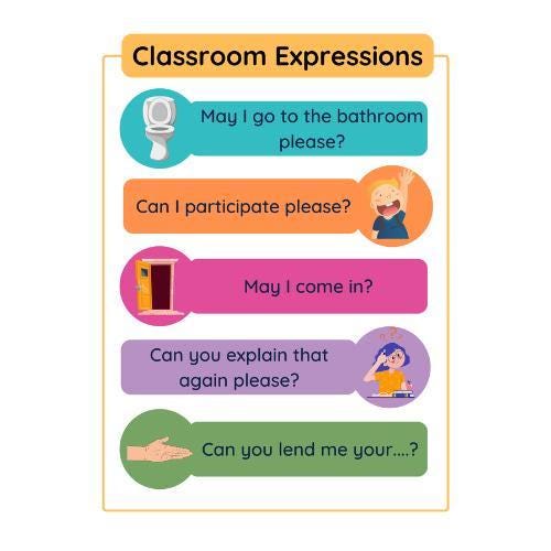 Classroom Expressions Poster, Polite Requests, ESL Teacher Resource (Digital Print A4 Size)