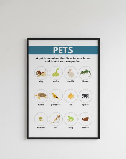 Pets Educational Poster, Domestic Animals Chart, Toddler Learning (Digital Download)