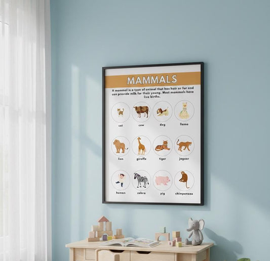 Mammals Educational Poster, Animal Science, Homeschool Decor (Digital Download)