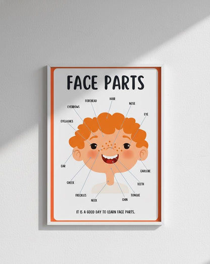 Face Parts Educational Print, Anatomy Learning Aid (Digital Download)