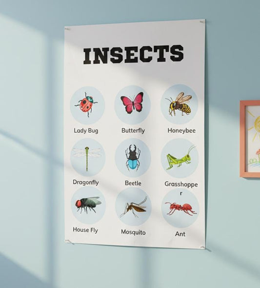 Insects Vocabulary Poster, Kids Science Classroom Decor (Digital Download A4 PDF & PNG )