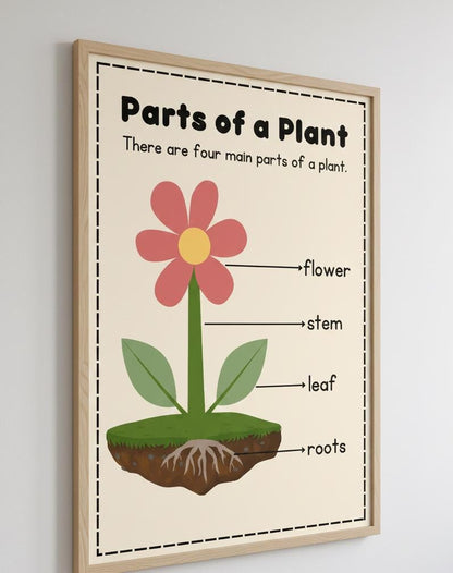 Parts of a Plant Poster, Science Vocabulary, Preschool Nature Art (Digital Download)