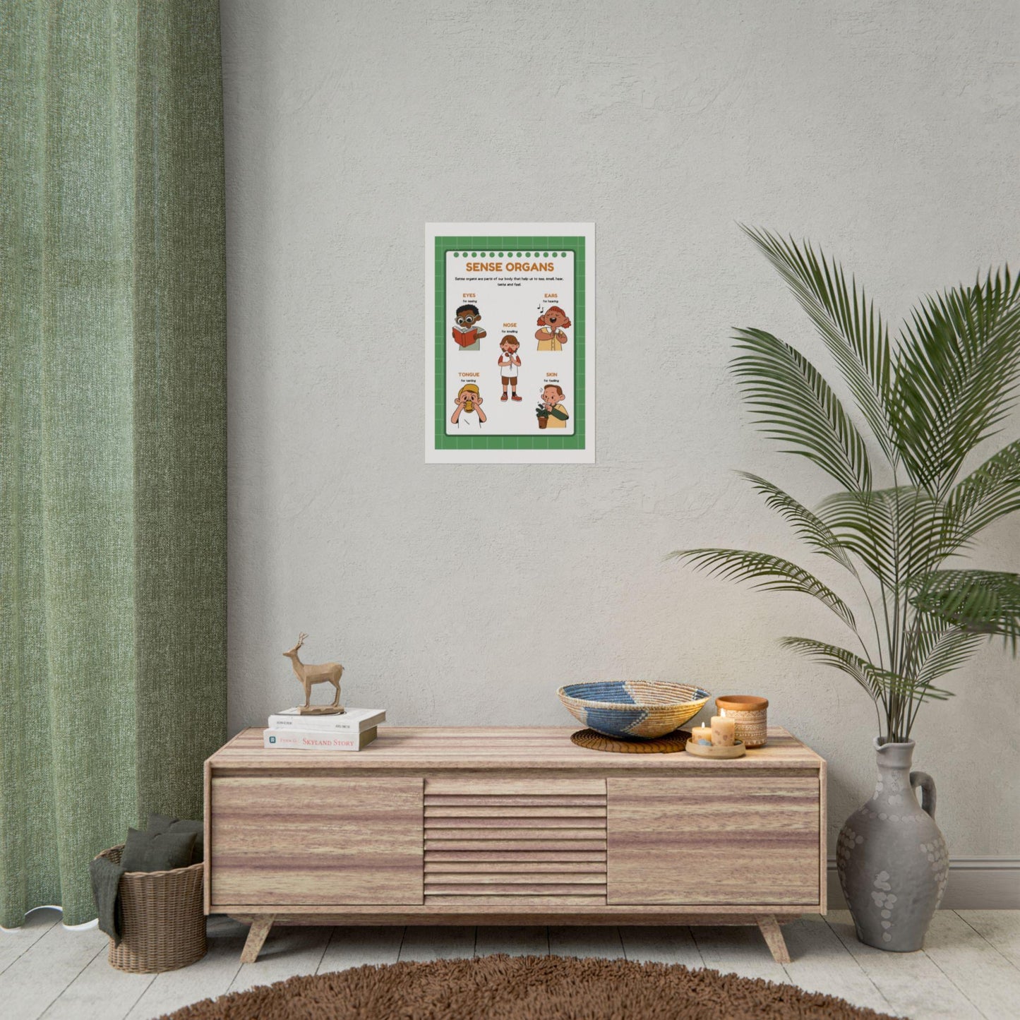 Sense Organs Educational Rolled Posters | Classroom Anatomy Chart | Kids Learning Posters