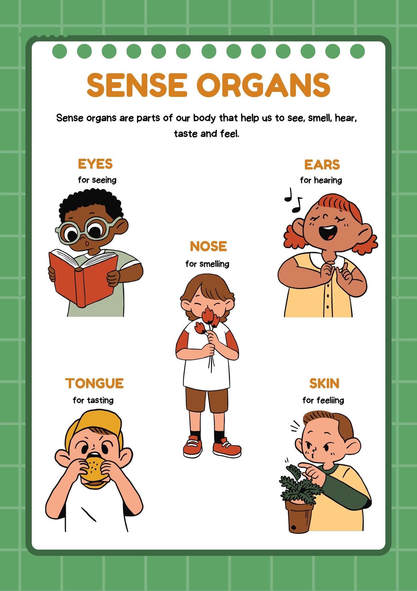 Kids Sense Organs Poster, Human Body Science Learning Tool (Digital Download)
