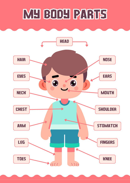 Human Body Parts Poster for Kids, Educational Anatomy Wall Art (Digital Download)