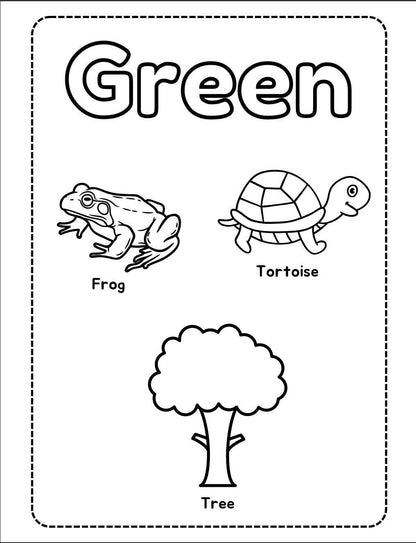 70+ Toddler Learning Activities & Color Flashcards (Digital Download)