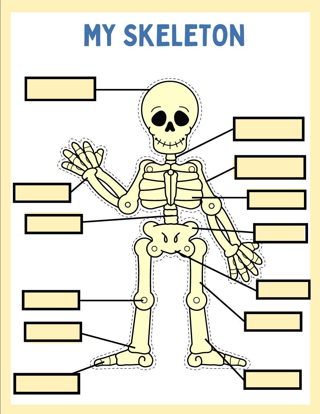 Human Anatomy Busy Book, Kids Science Printable (Digital Download)