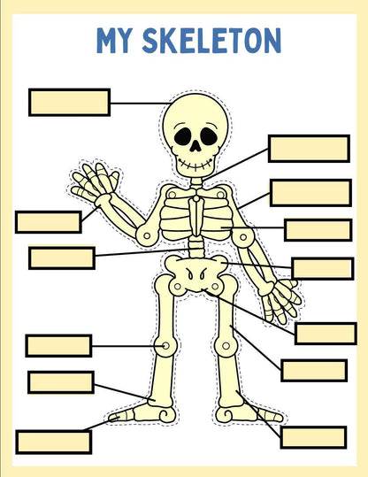 Human Anatomy Busy Book, Kids Science Printable (Digital Download)