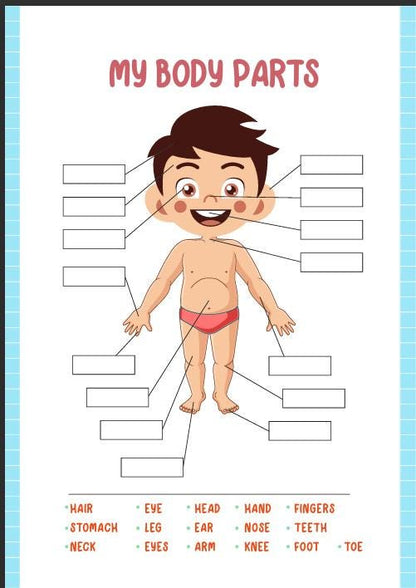 Human Anatomy Busy Book, Kids Science Printable (Digital Download)