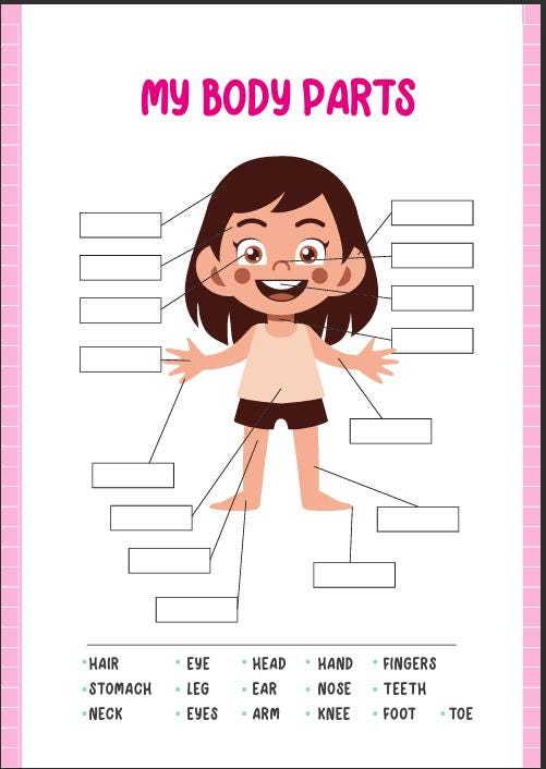 Human Anatomy Busy Book, Kids Science Printable (Digital Download)