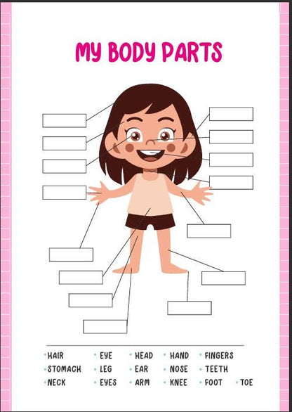 Human Anatomy Busy Book, Kids Science Printable (Digital Download)