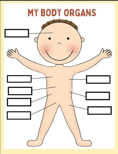 Human Anatomy Busy Book, Kids Science Printable (Digital Download)