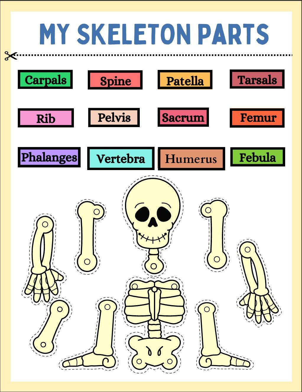 Human Anatomy Busy Book, Kids Science Printable (Digital Download)