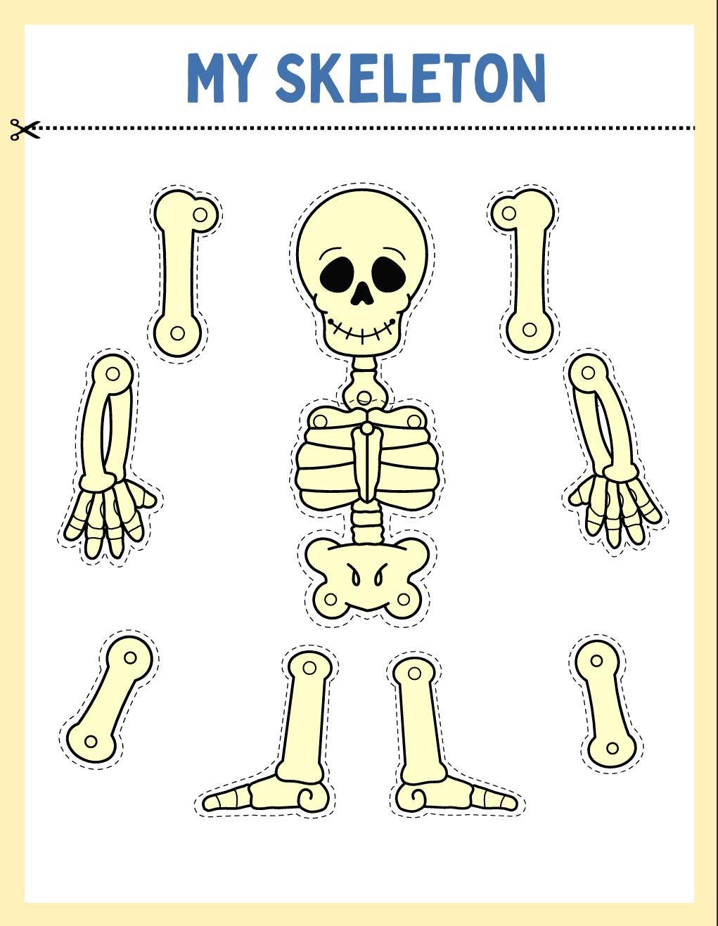 Human Anatomy Busy Book, Kids Science Printable (Digital Download)