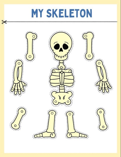 Human Anatomy Busy Book, Kids Science Printable (Digital Download)