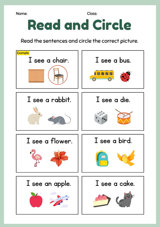 Read and Circle Sight Word Worksheet, Kindergarten Reading Activity (Digital Download)